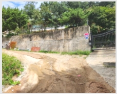  2024Ÿ��82541 ��� �����ֽ� ������ 148       ����(����)���