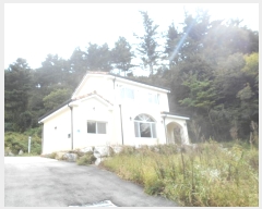  2024Ÿ��82862  ���ð��