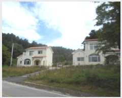  2024Ÿ��82862  ���ð��