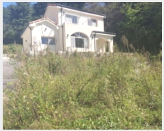  2024Ÿ��82862  ���ð��