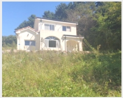  2024Ÿ��82862  ���ð��