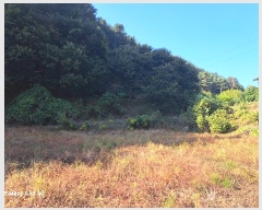  2024Ÿ��84172 ��� ���� ������ ���帮 8      ����(��)���