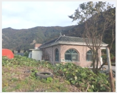  2024Ÿ��84172 ��� ���� ������ ���帮 104-1      ���ð��