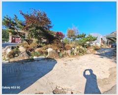  2024Ÿ��84172 ��� ���� ������ ���帮 104-1      ���ð��