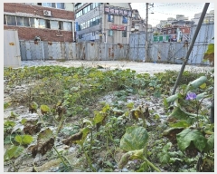  2024Ÿ��84622 ��� �����ֽ� ������ ������ 380-12      ����(����)���