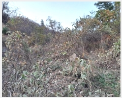  2024Ÿ��84998  �����