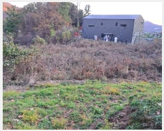  2024Ÿ��84998  �����