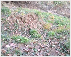  2024Ÿ��84998  �����