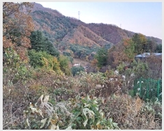  2024Ÿ��84998  �����