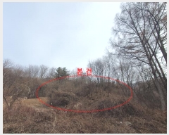  2024Ÿ��86451  �Ӿ߰��