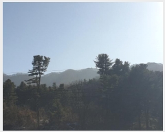  2024Ÿ��86451  �Ӿ߰��