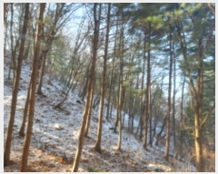  2024Ÿ��86451  �Ӿ߰��