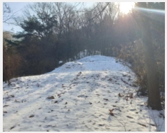  2024Ÿ��86451  �Ӿ߰��