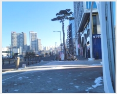  2024Ÿ��87027  ����Ʈ��������