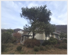  2024Ÿ��5803 ��� ���� û��� �뼺�� 406-2      ���ð��