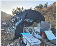  2024Ÿ��6448  �����