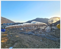  2024Ÿ��6448  �����