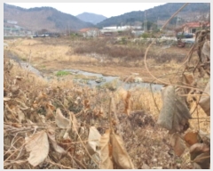  2024Ÿ��85199 ��� ���� ��� ���ʸ� 380-7      ����(��)���