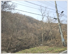  2024Ÿ��86468 ��� ���� û��� ȣ���� 146-107      ����(�Ӿ�)���