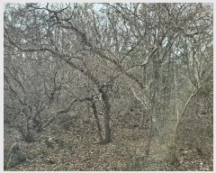  2024Ÿ��86468 ��� ���� û��� ȣ���� 146-107      ����(�Ӿ�)���