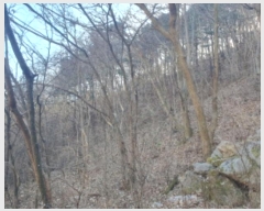  2024Ÿ��86468 ��� ���� û��� ȣ���� 146-107      ����(�Ӿ�)���