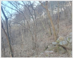  2024Ÿ��86468 ��� ���� û��� ȣ���� 146-107      ����(�Ӿ�)���