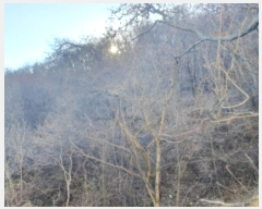  2024Ÿ��86468 ��� ���� û��� ȣ���� 146-107      ����(�Ӿ�)���