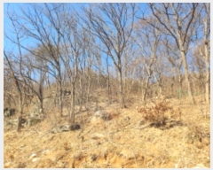  2024Ÿ��86710 ��� ���� û��� ȣ���� 382-33      ����(�Ӿ�)���