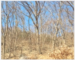  2024Ÿ��86710 ��� ���� û��� ȣ���� 382-33      ����(�Ӿ�)���