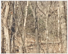  2024Ÿ��86710 ��� ���� û��� ȣ���� 382-33      ����(�Ӿ�)���