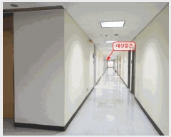  2025Ÿ��1291  �ٸ��󰡰��