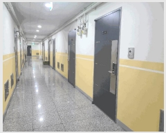  2025Ÿ��2805  ���ǽ��ڰ��