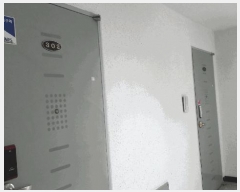  2025Ÿ102246  ٸ󰡰