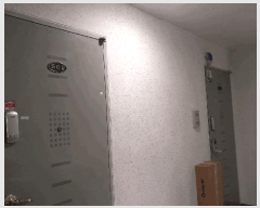  2025Ÿ102246  ٸ󰡰