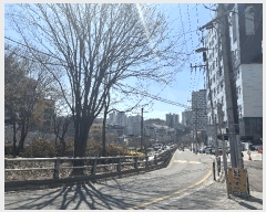  2025Ÿ102408  ۱ 1 519-1 Ʈ 5506ȣ     ǽڰ