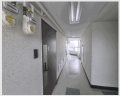  2025Ÿ102421  Ǳ Ÿ 1421-1 Ÿť 101009ȣ     Ʈ