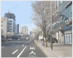  2025Ÿ��102584  ���ǽ��ڰ��