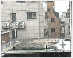  2025Ÿ��102798  ���ð��