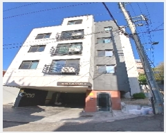  2025Ÿ��102541 ���� ���۱� �󵵵� 283-119  2��203ȣ     �ټ���,������