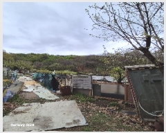  2025Ÿ��102682  �Ӿ߰��