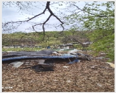  2025Ÿ��102682  �Ӿ߰��