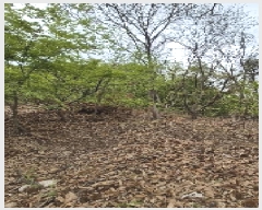  2025Ÿ��102682  �Ӿ߰��