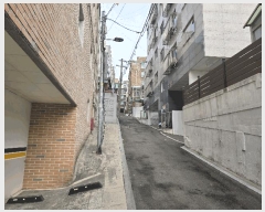  2025Ÿ��366  �ټ���(����)���