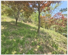  2025Ÿ��102742  �Ӿ߰��