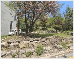  2025Ÿ��102742  �Ӿ߰��