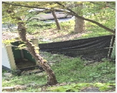  2025Ÿ��102742  �Ӿ߰��