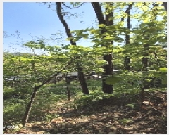  2025Ÿ��102742  �Ӿ߰��