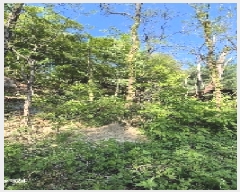  2025Ÿ��102742  �Ӿ߰��