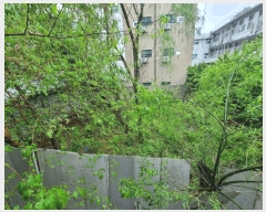  2025Ÿ��102333 ���� ���α� ȿ���� 245-20       ����(����)���