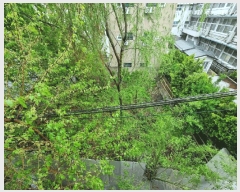  2025Ÿ��102333 ���� ���α� ȿ���� 245-20       ����(����)���